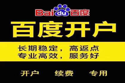 百度搜索推广实战技巧：成功案例启示录